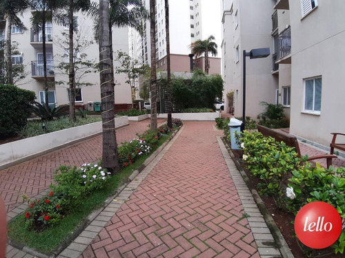 Imagem 16 de 23 de Apartamento - Ref: 237238