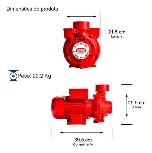 Bomba De Alta Vazão Thebe Thi-13 1,5cv Mono 127/220-254v