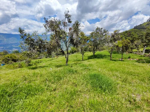 Lote En Copacabana Vereda El Zarzal