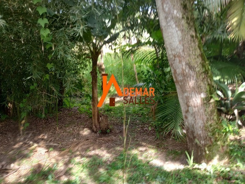 Imagem 21 de 30 de Chacara - Ch00120 - 70787182