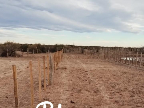 Terreno Campo En Venta En 25 De Mayo, Puelen, La Pampa