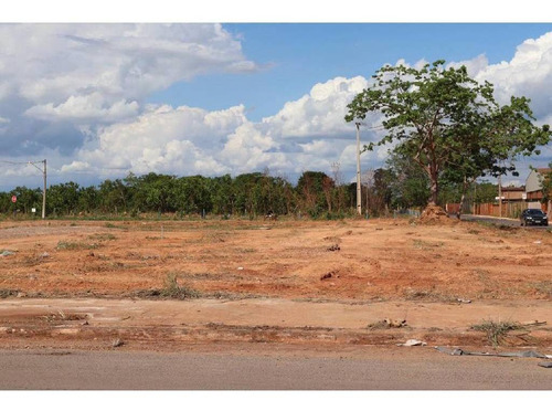 Imagem 8 de 16 de Ótima Área Para Investimento! - 23981