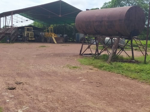 Imagen 9 de 20 de Hato En Edo. Guárico De Ganado Cebú En Venta