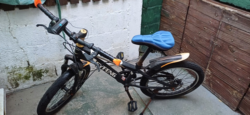 Bicicleta Para Niño Rodado 20