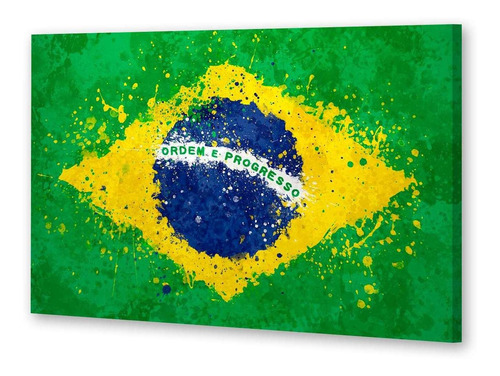 Cuadro 20x30cm Bandera Brasil Orden Y Progreso Patria P4