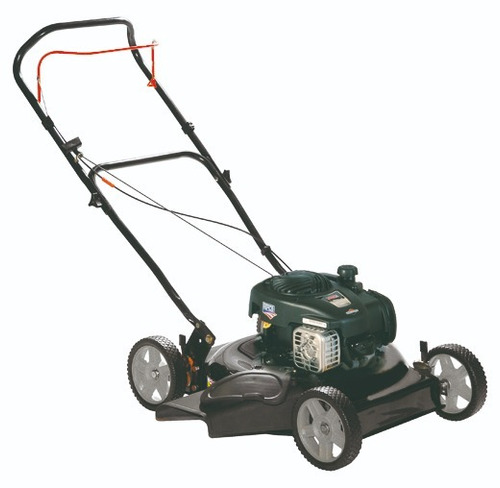 Cortadora Césped Nafta 20  / 50cm Motor Briggs Stratton 450e