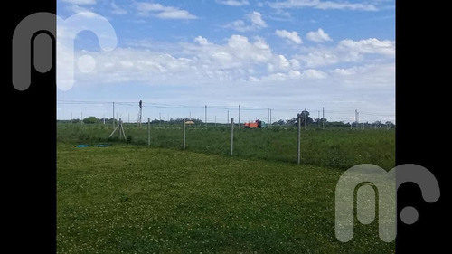 Imagen 3 de 18 de Terreno - Arana