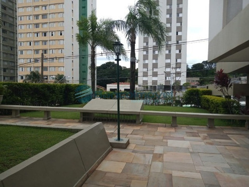 Imagem 6 de 23 de Apartamento Para Locação Em Cambui - Ap02578 - 34909019