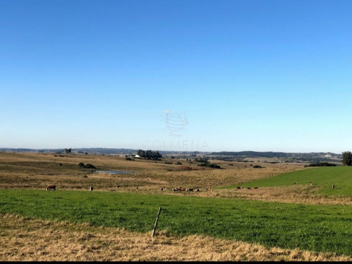 Imagen 5 de 29 de Campo En Jose Ignacio - Jose Ignacio