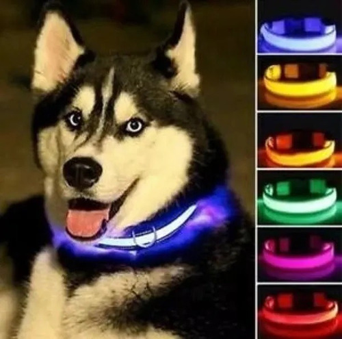 Collar Reflectivo Perro Mascotas Luz Led 3 Efectos