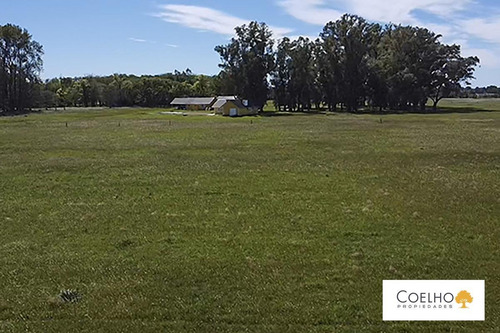 Imagen 26 de 30 de Terreno - Carmen De Areco