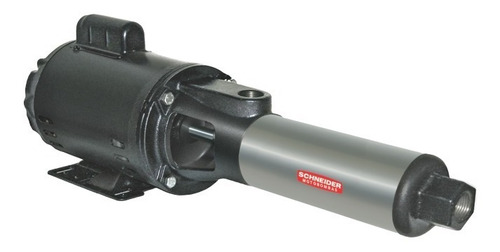 Bomba D'água Centrífuga 1.5 Cv Bt4-1015e11 Schneider Trif