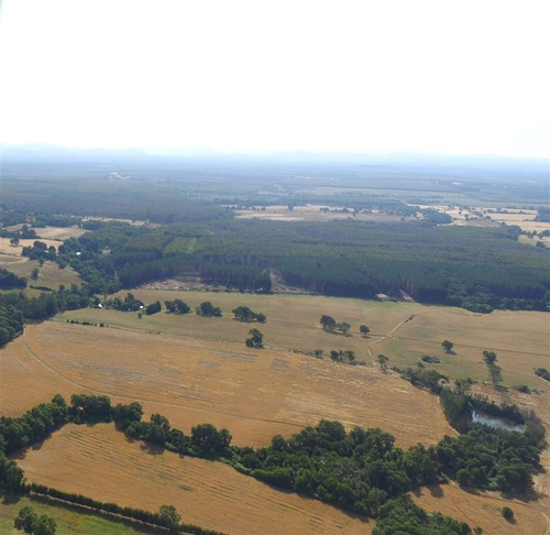 Imagen 10 de 15 de Agrícola En Venta En Ercilla