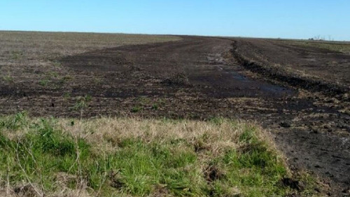 Imagen 1 de 12 de Terreno Campo En Venta Ubicado En Río Negro, Río Negro