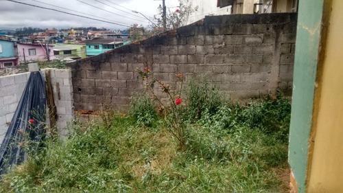 Imagem 7 de 8 de Terreno - Te00029 - 34463546