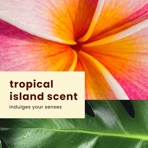 Hawaiian Tropic Protector Solar En Spray Transparente Spf 70