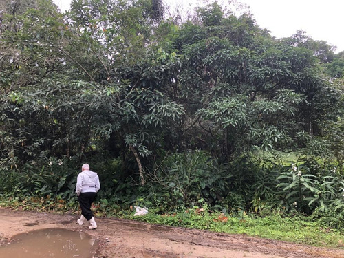 Imagem 3 de 12 de Terreno Medindo 465m², À Venda Em Itanhaém