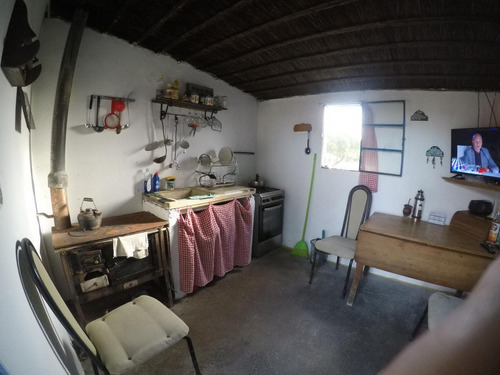 Imagen 15 de 21 de Chacra De 8 Hás Con Vivienda Próximo A Tala