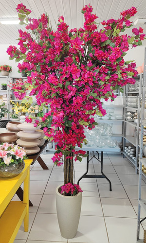Árvore Flores De Bougainville Grande Volumosa 2x1mt Premium