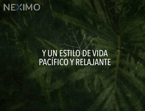 Imagen 9 de 12 de Lotes H4en Tulum Lotes Habitacionales En Venta En Tulum
