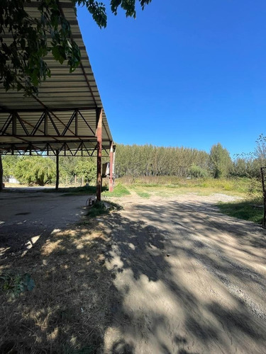 Imagen 19 de 30 de Parcela 19.000 M2 Con Casa Y Bodegas En Idahue Coltauco