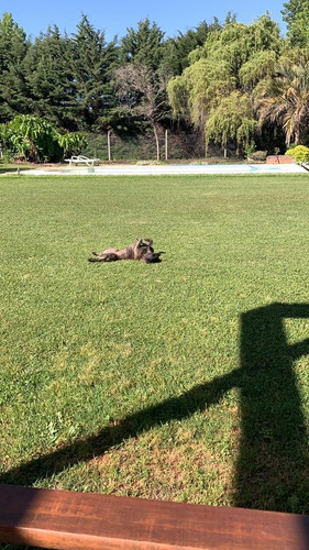 Quinta Quinta En Venta - 4 Dormitorios 3 Baños - 13.500mts2 - Esteban Echeverria