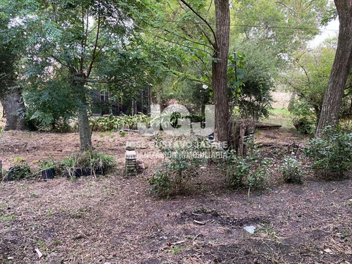 Imagen 4 de 14 de 2.1 Has - Atalaya, Buenos Aires