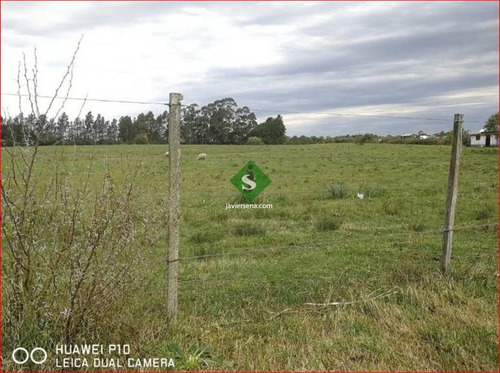 Imagen 7 de 7 de Venta De Chacra En Montevideo, 3,5 Hectareas En Melilla