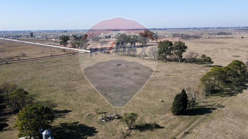 Imagen 10 de 13 de Campo 157 Hcts En Venta San Vicente P/desarrollo
