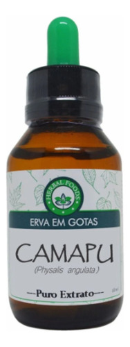 Extrato De Camapú 60ml - Neurônios - Tintura Mãe