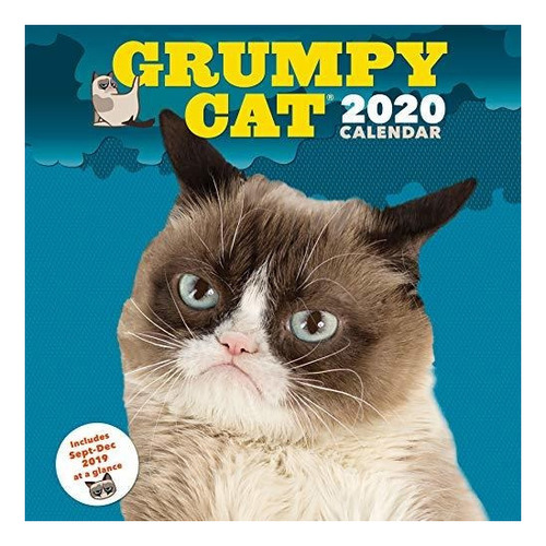 Calendario De Pared De Gato Gruon 2020