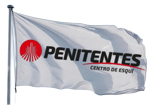 Bandera Ski Penitentes. Mendoza