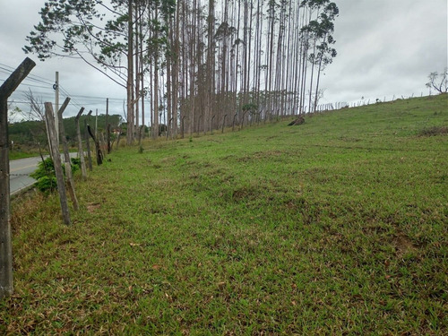 Imagem 6 de 14 de 16- Adquira Seu Lote 100% Documentado,sem Burocrácia