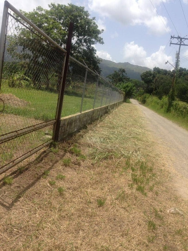 Imagen 6 de 6 de Se Vende Parcela En Montalban Aguirre Sd--748