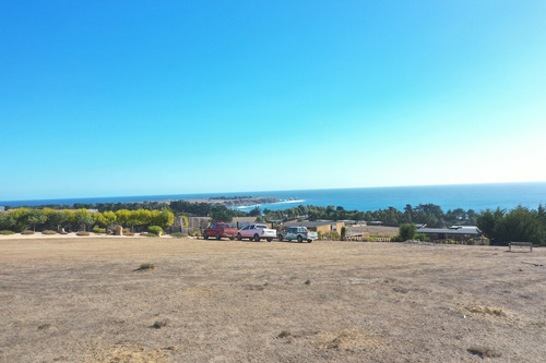 Vista Panorámica Al Mar En Punta De Lobos