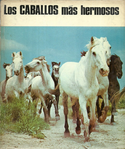 Los Caballos Más Hermosos. Dominic Klein