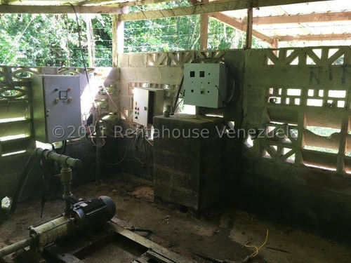 Imagen 22 de 30 de &&& Finca En Venta Aroa Yaracuy Rah 23-4755 // Invierta Seguro Con Rentahouse//