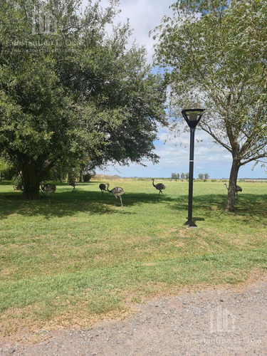 Imagen 2 de 11 de Oportunidad - Lote Muy Bien Ubicado - El Mirador - Samborombon