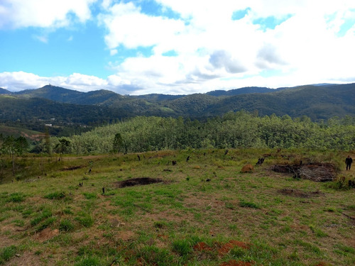 Imagem 4 de 11 de Lote/terreno Com Documentação Atualizada Em Cartório, 600m², Mairiporã-sp