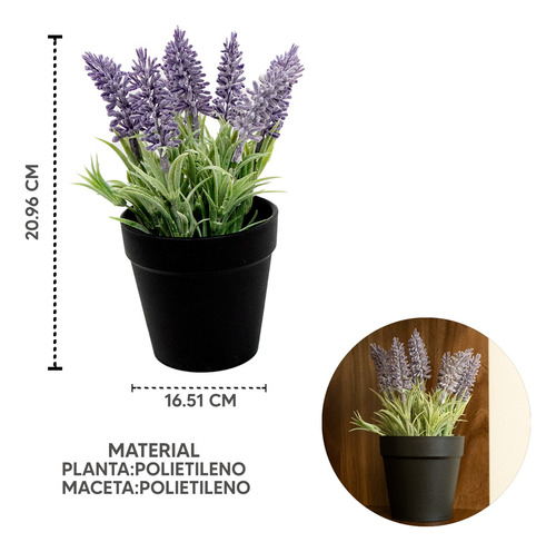 Planta Lavanda En Maceta Plástico Modelo Interior Hogar 20cm