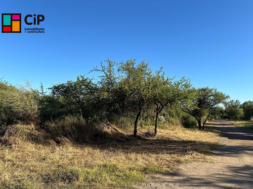 Venta De Lote En Carpinteria Calle El Poleo