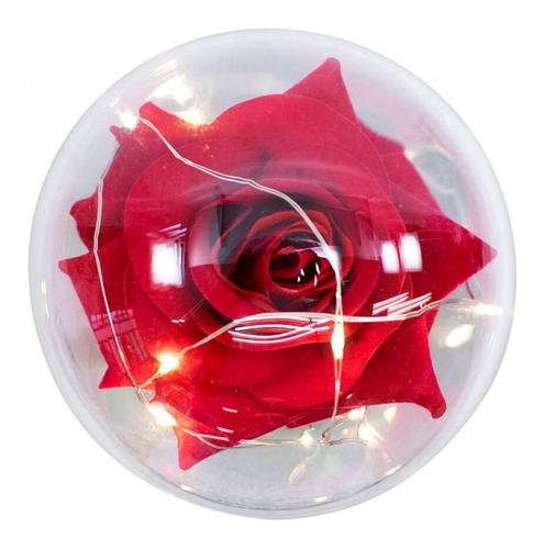 Luminária A Bela E A Fera A Rosa Encantada Presente Namorada