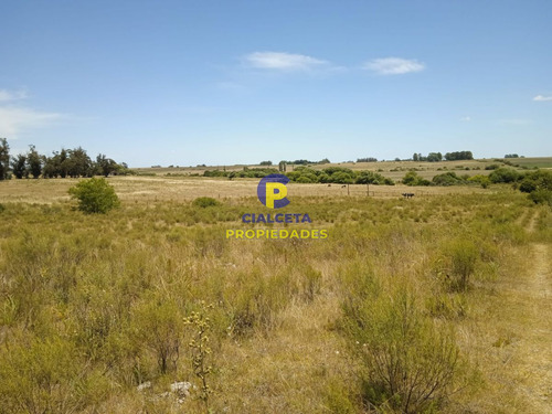 23 Hectáreas En Lavalleja Con Arroyo