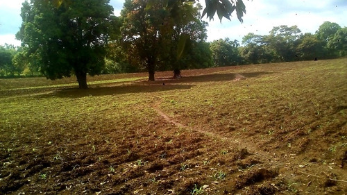 Imagen 2 de 12 de 4 Mzs San Rafael Del Sur - Managua