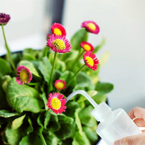 Botella D Riego Para Plantas Suculentas De 250 Ml (embalaje)