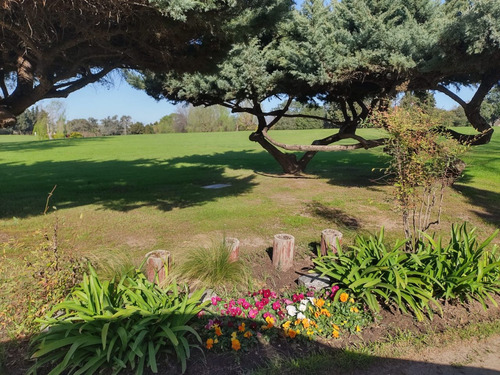 Imagen 4 de 6 de Parcela. Cementerio Jardín Bella Vista.
