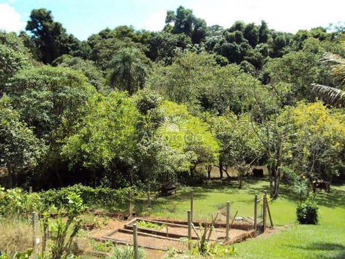 Imagem 16 de 24 de Sítio Com Lago, Ponte Alta, Jarinu - R$ 800 Mil, Cod: St012 - Vst012