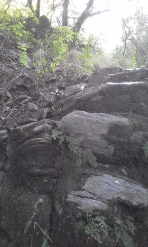 Imagen 6 de 11 de Campo En Las Sierras, Montañas Pero En Traslasierra $ 1.500.000 La Hectárea Al 020123