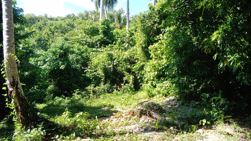 Hermoso Y Amplio Terreno Detrás Del Bahia Principe Cayacoa En Samana.