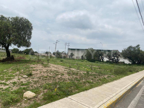 Venta De Terreno En La Purificacion Texcoco